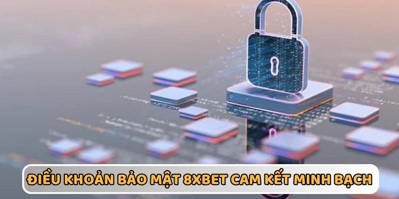 Điều khoản an toàn sử dụng dịch vụ 8xbet