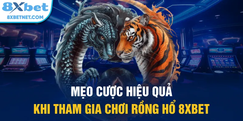 Mẹo cược hiệu quả khi tham gia chơi Rồng Hổ 8xbet