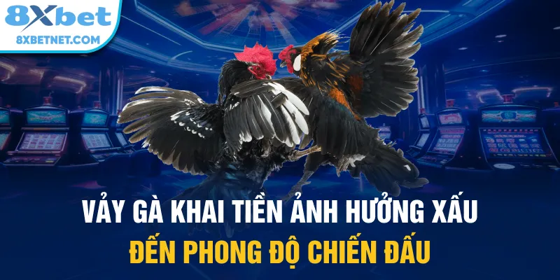 Vảy gà khai tiền ảnh hưởng xấu đến phong độ chiến đấu
